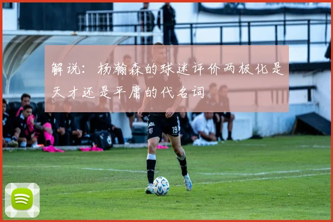 解说：杨瀚森的球迷评价两极化是天才还是平庸的代名词