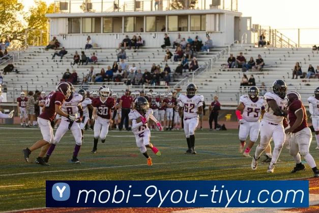 数据防护可视化